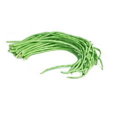 Long Beans – Back To Roots Organic Store